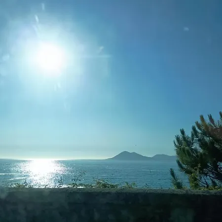 Solymar Portosin *