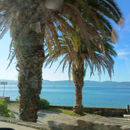 Solymar Portosin *